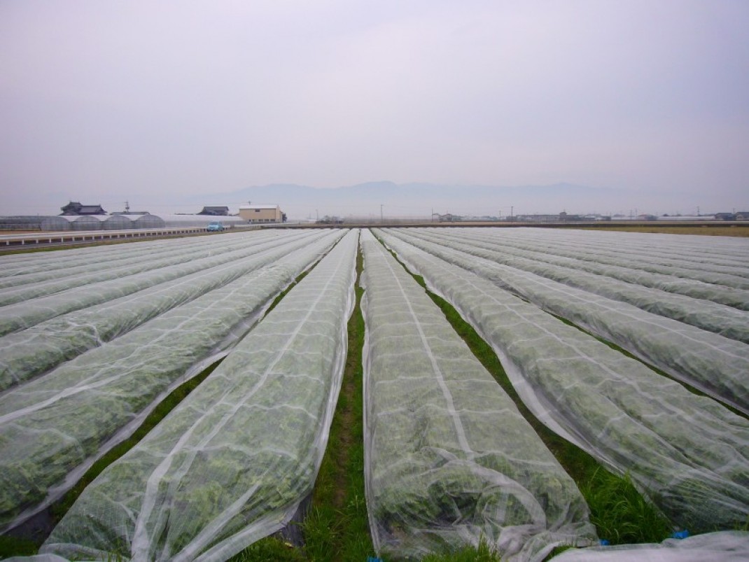 30bb795494d8ba202344f994a6a051a3_1488249