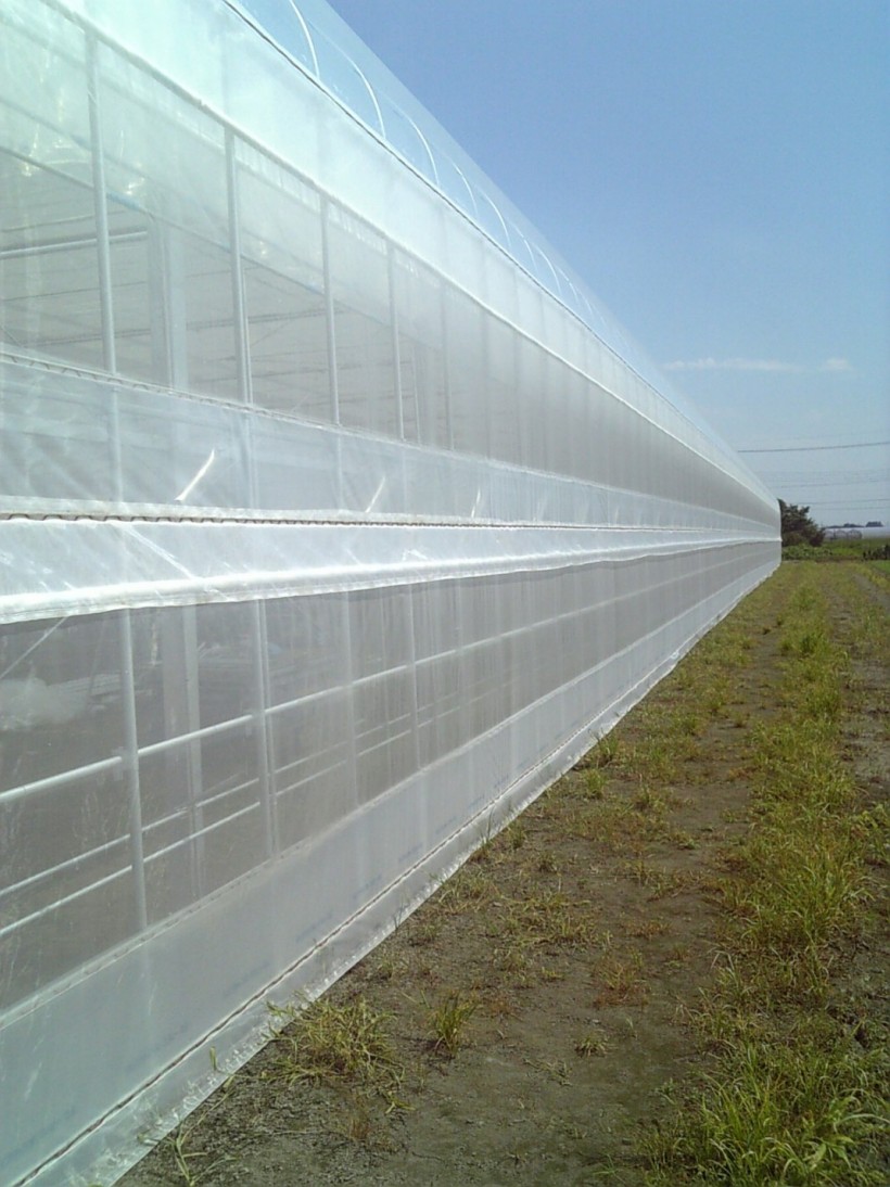 7a32938f6a7d51445b7a33bf25245e18_1488179