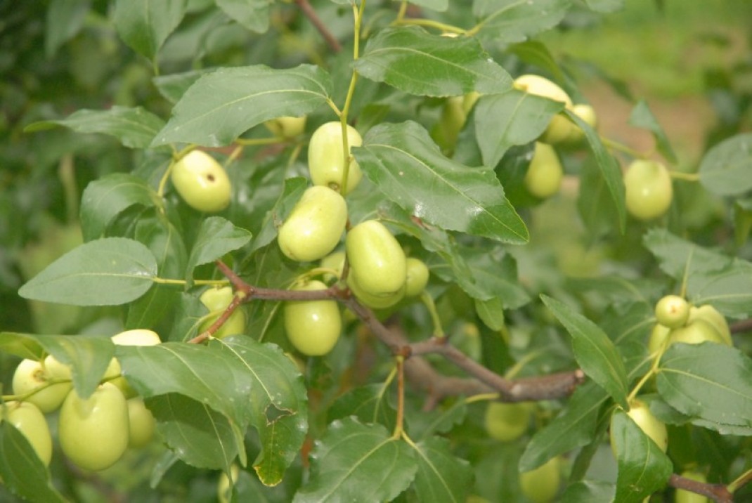 61c4e4b88115ece604dedadf734f4fe9_1619792